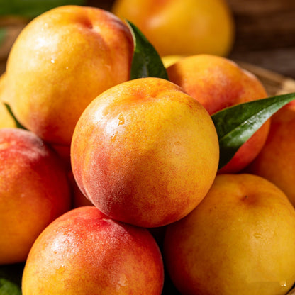 🍑Ultra-Sweet Juicy Peach Tree Planting Kit