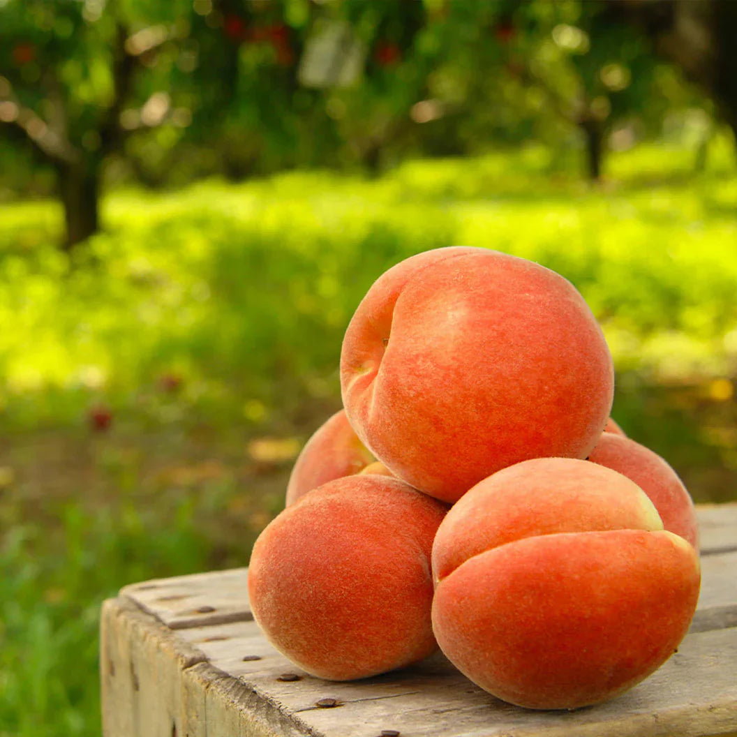 🍑Ultra-Sweet Juicy Peach Tree Planting Kit