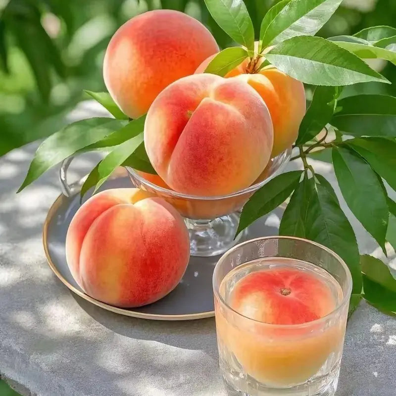 🍑Ultra-Sweet Juicy Peach Tree Planting Kit